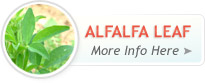 Alfalfa Leaf Powder